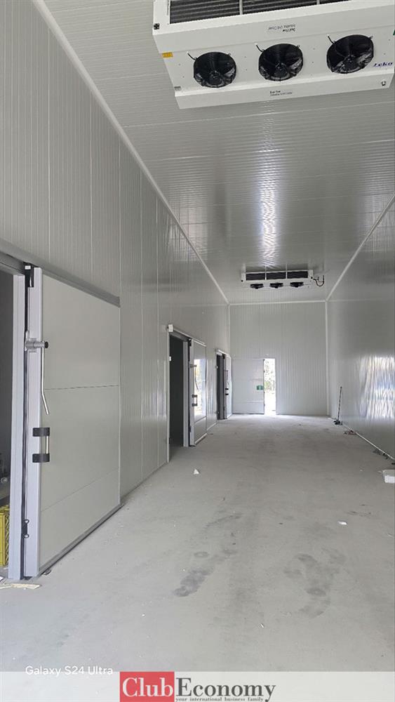 Габев Фриго