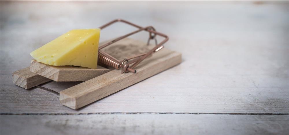 plant-medika-clubeconomy